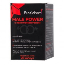Капсулы для мужчин Erotichard male power с пантогематогеном - 20 капсул (0,370 гр.)
