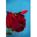 Красный вибратор-помада Pansies - 9 см.