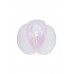 Прозрачный реалистичный мастурбатор Juicy Pussy Crystal Rose